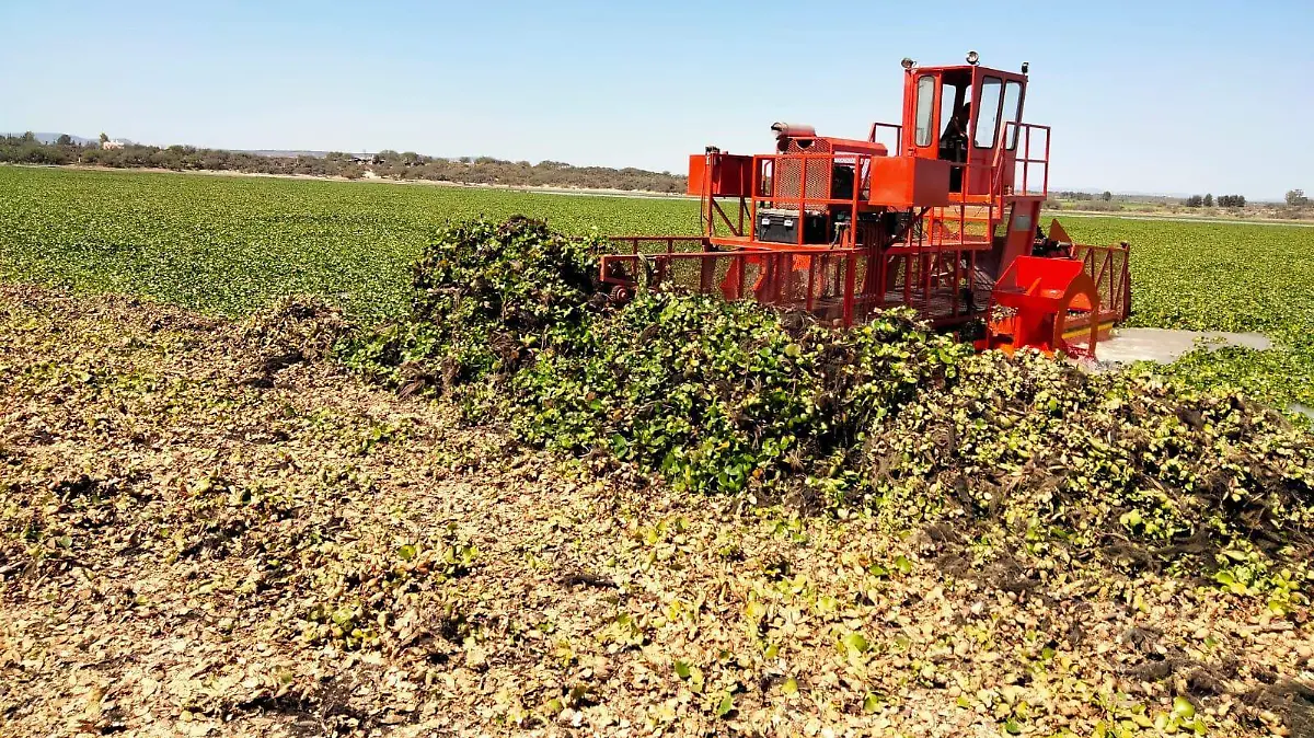 Presa allende maquina