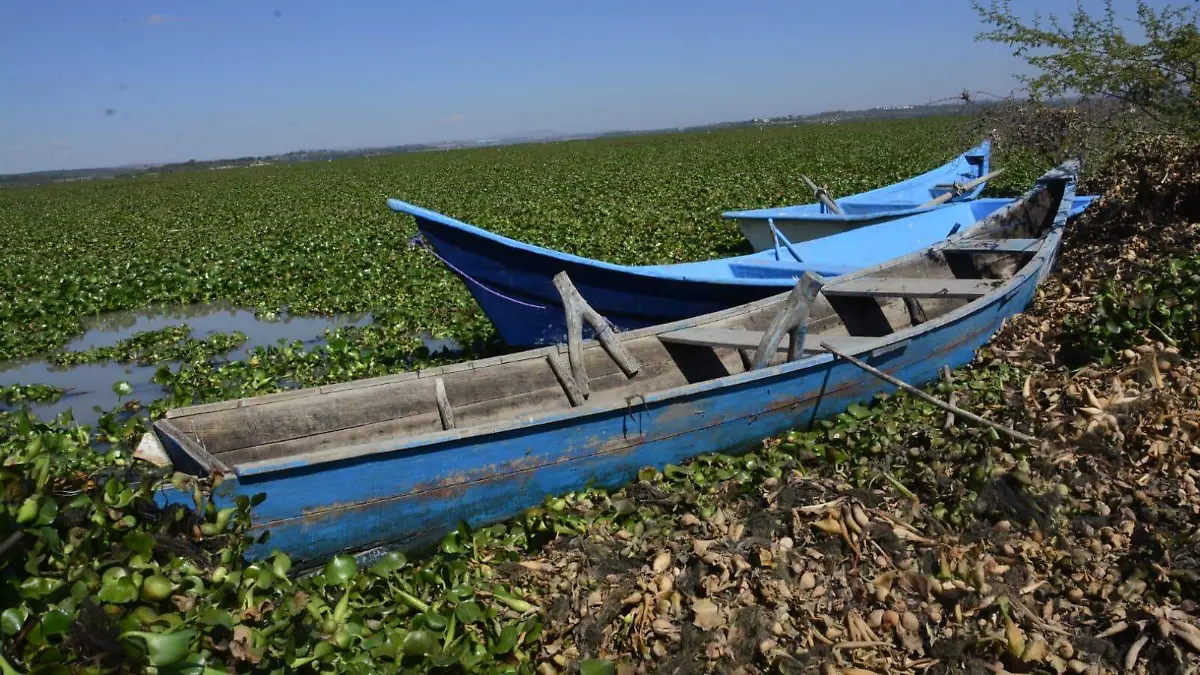 Presa allende lanchas