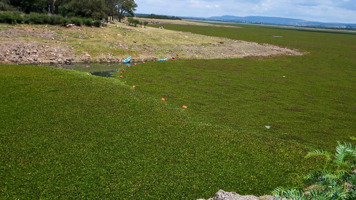 presa allende 