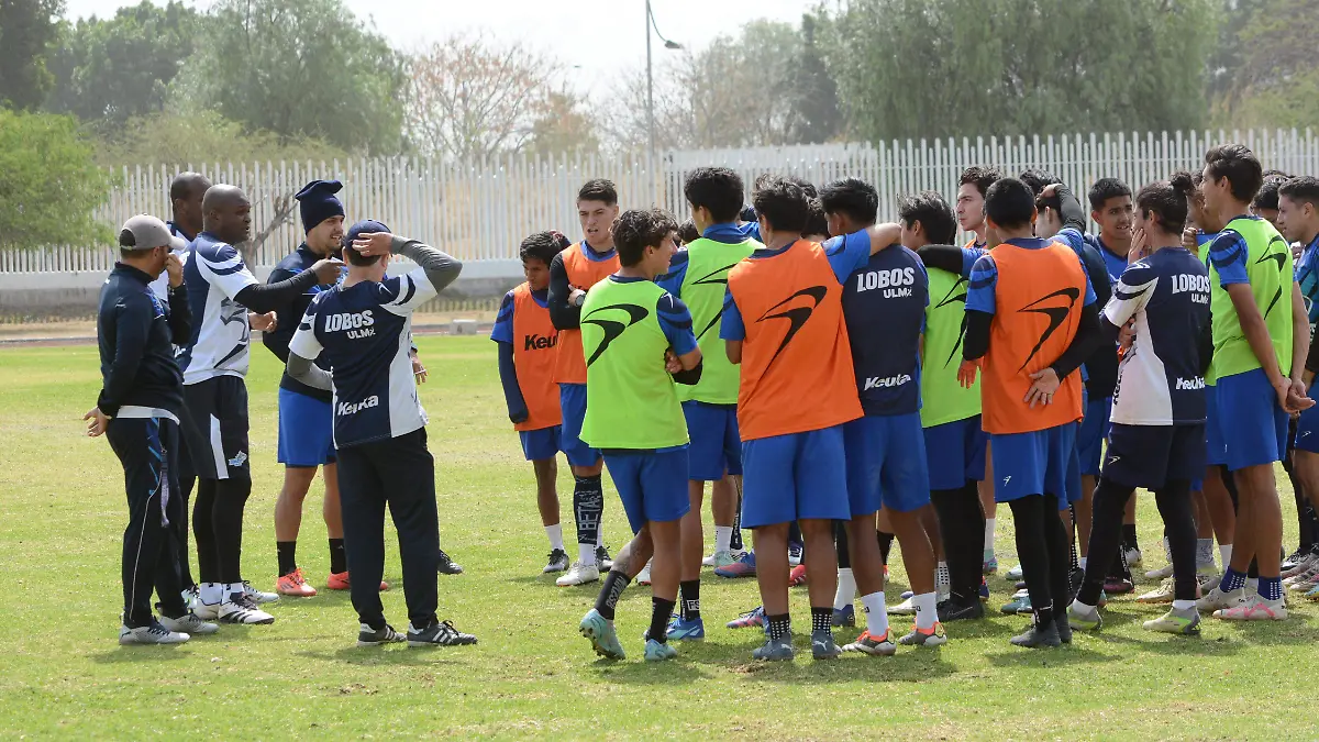 Dirección técnica de los Lobos ULM.