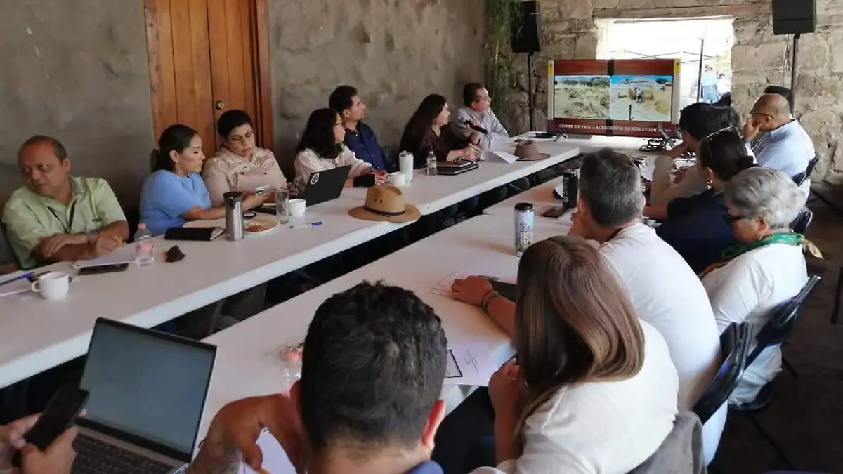 sesion zonas arqueologicas