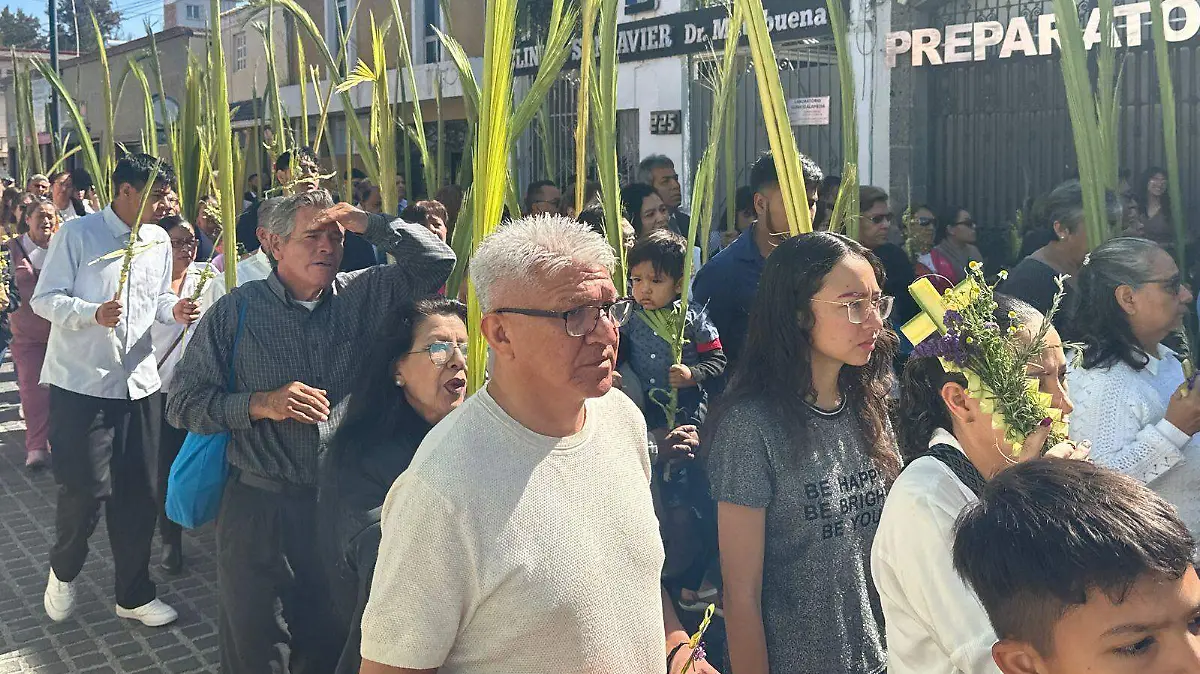 Domingo de Ramos (2)