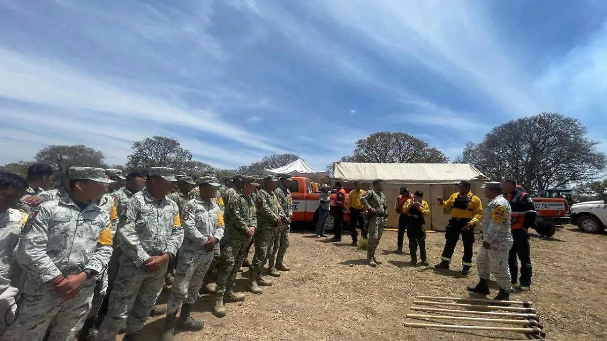 Combate incendio forestal 00