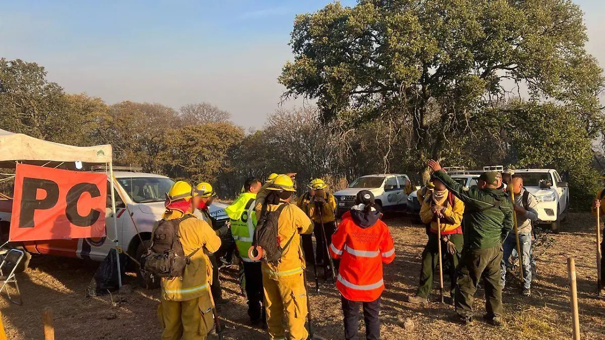 Combate incendio forestal 01