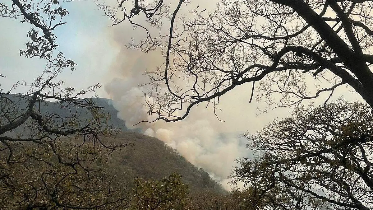 Combate incendio forestal 02