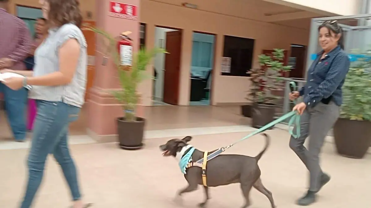 NO AL SANCION EN CONTROL