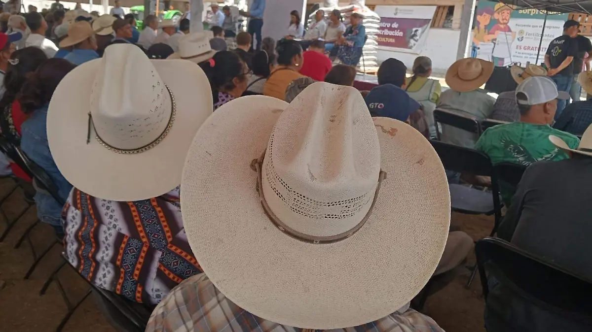 Fertilizantes para el Bienestar