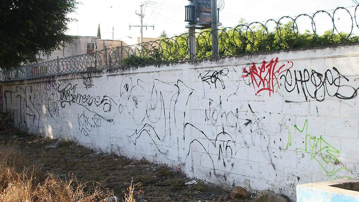 graffiti (7) ok