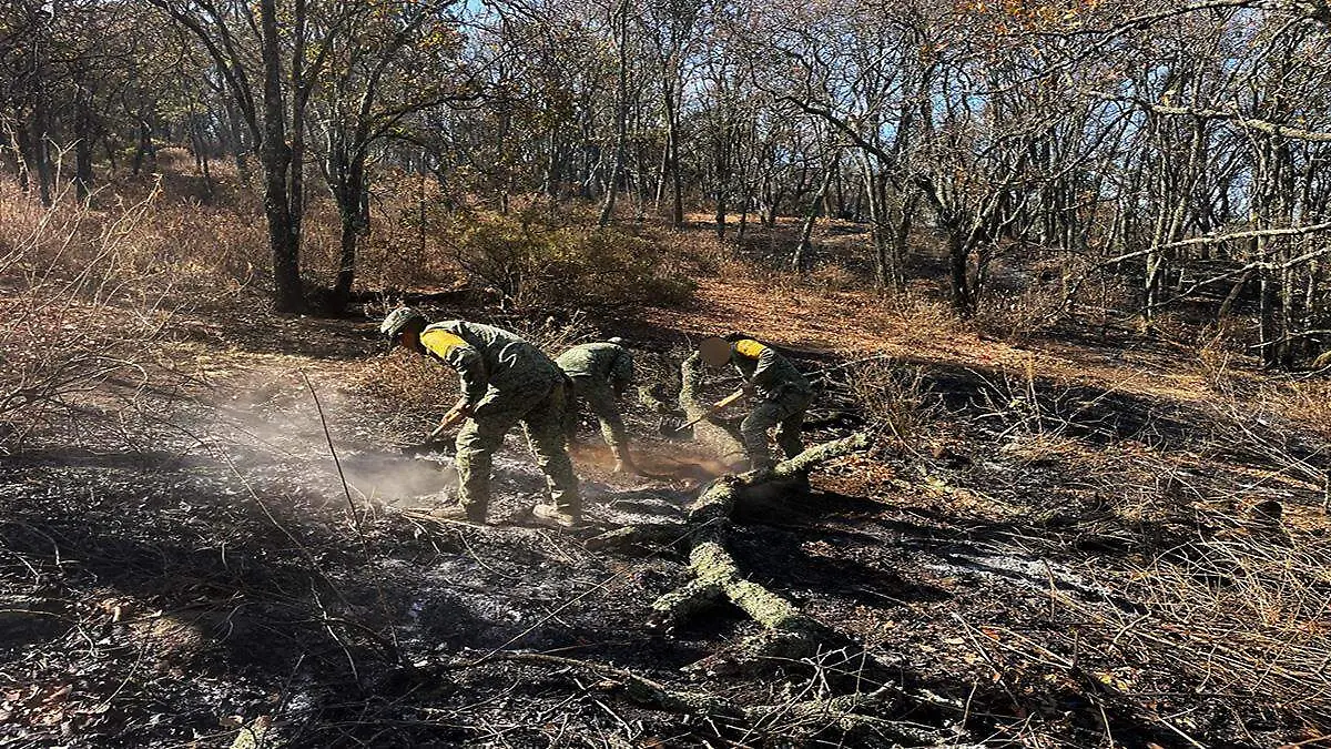 Liquidación fuego Sierra Agustinos 01 ok