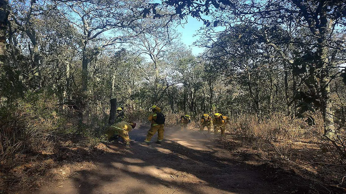 Liquidación fuego Sierra Agustinos 03 ok