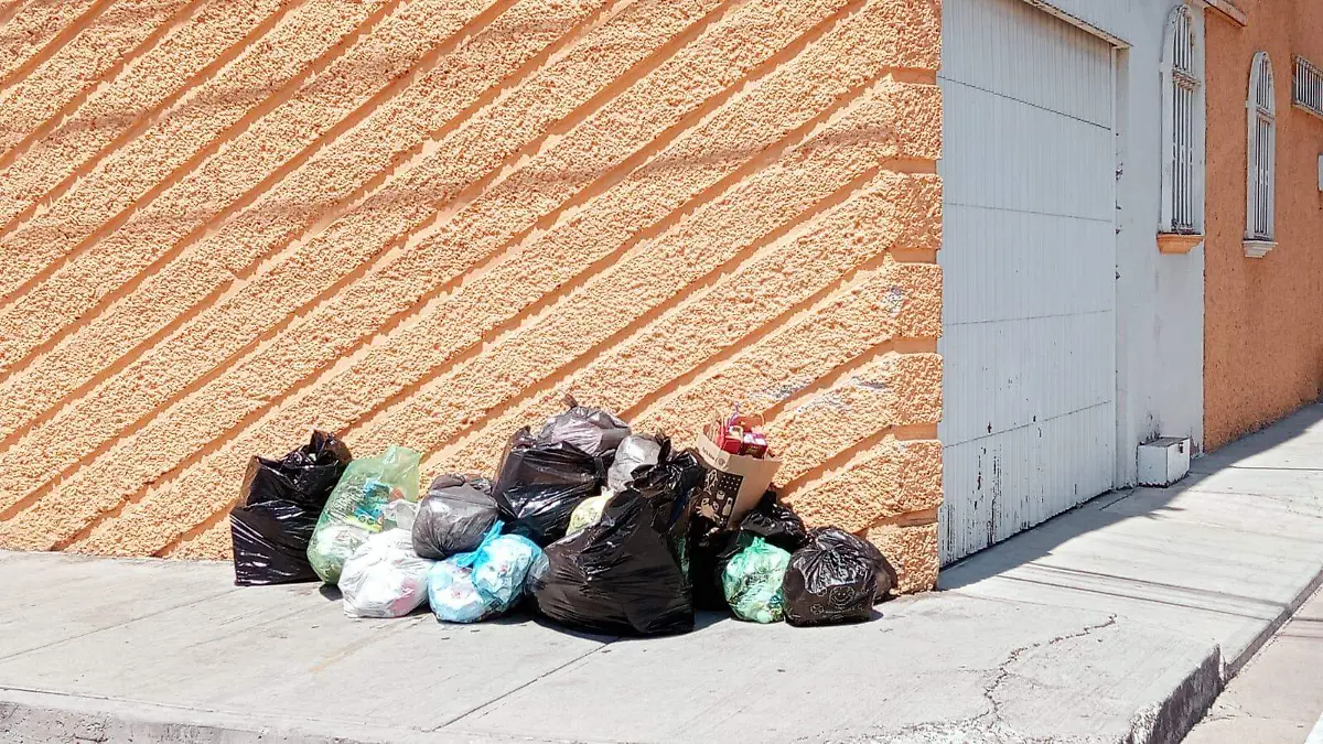FOTO 1 BASURA 