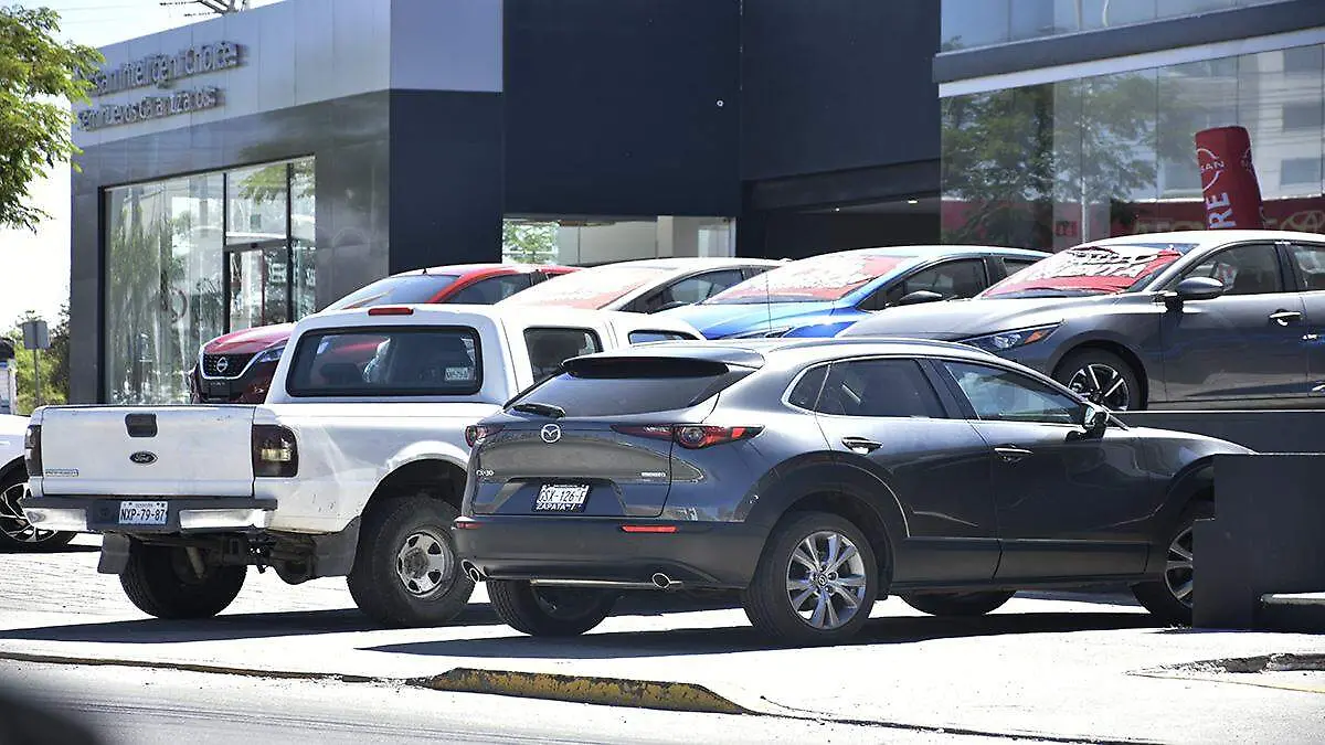 robo de vehiculos (2) ok
