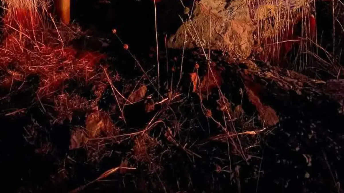 1000077083