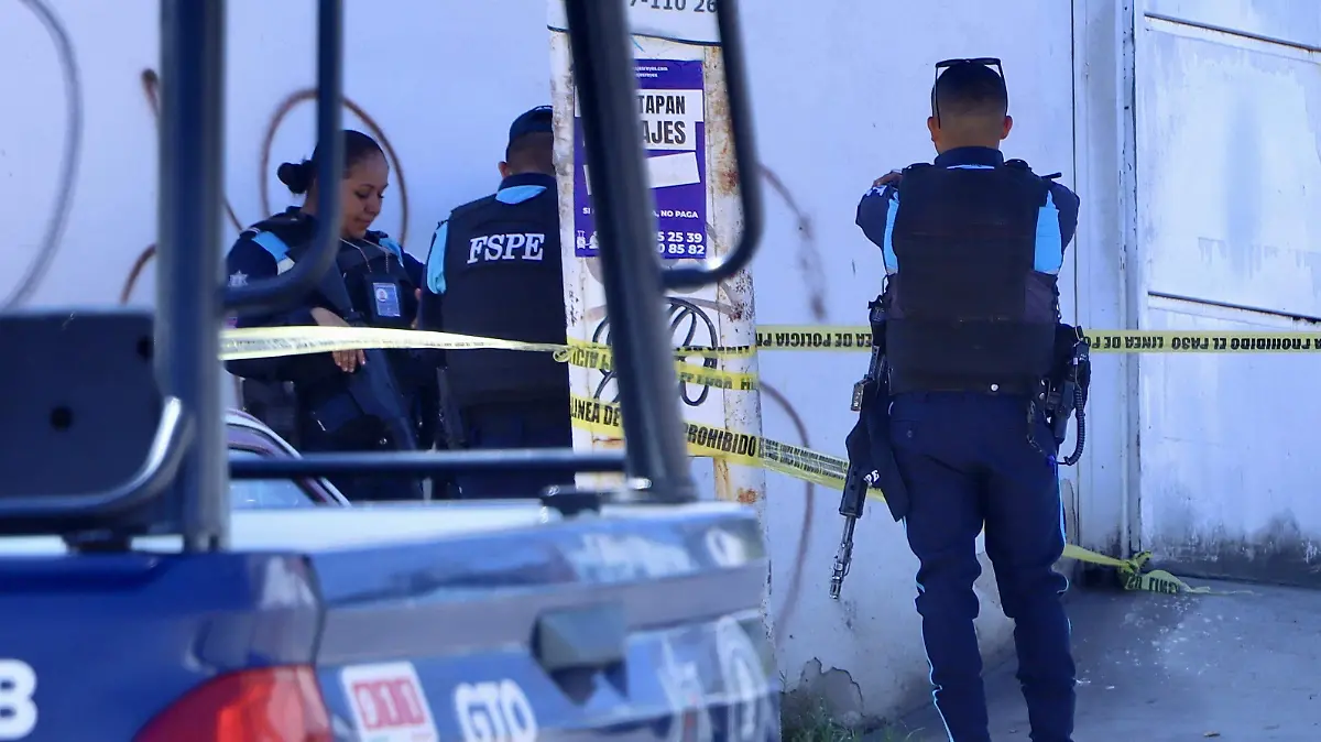 SEGURIDAD - Francisco Meza