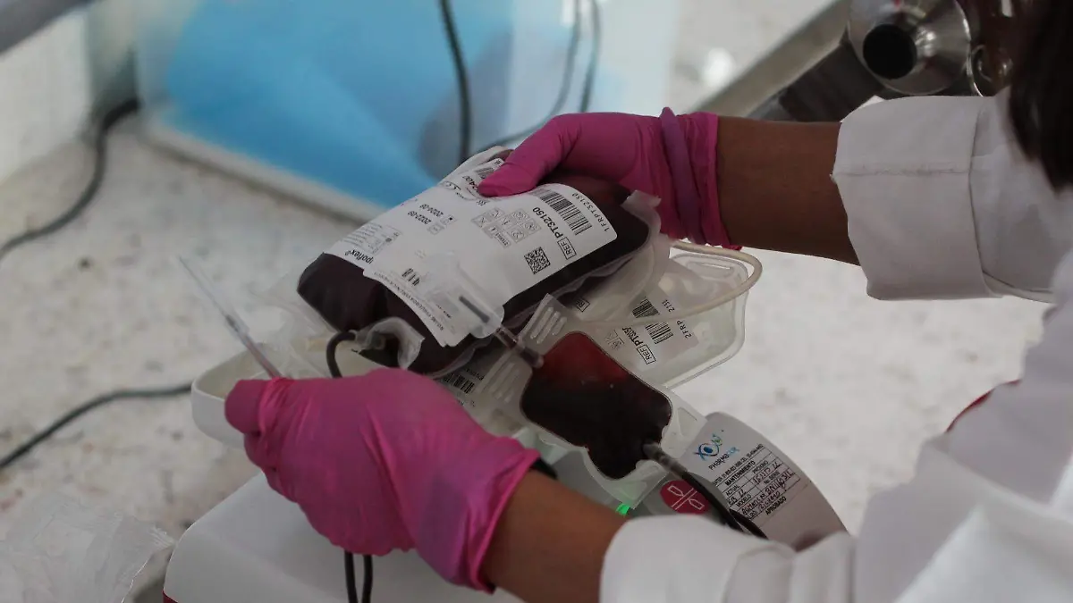 donaciondesangre