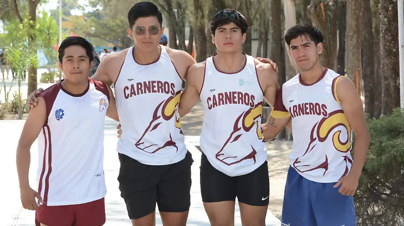 Carneros