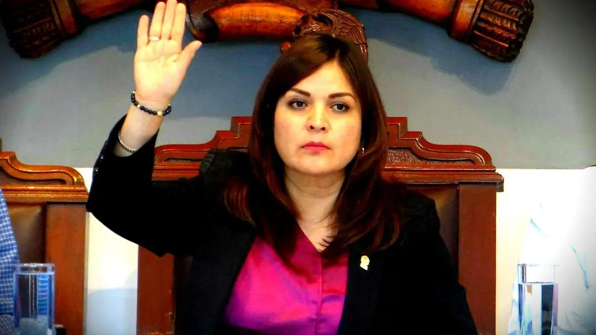 Sesión de Ayuntamiento (3)