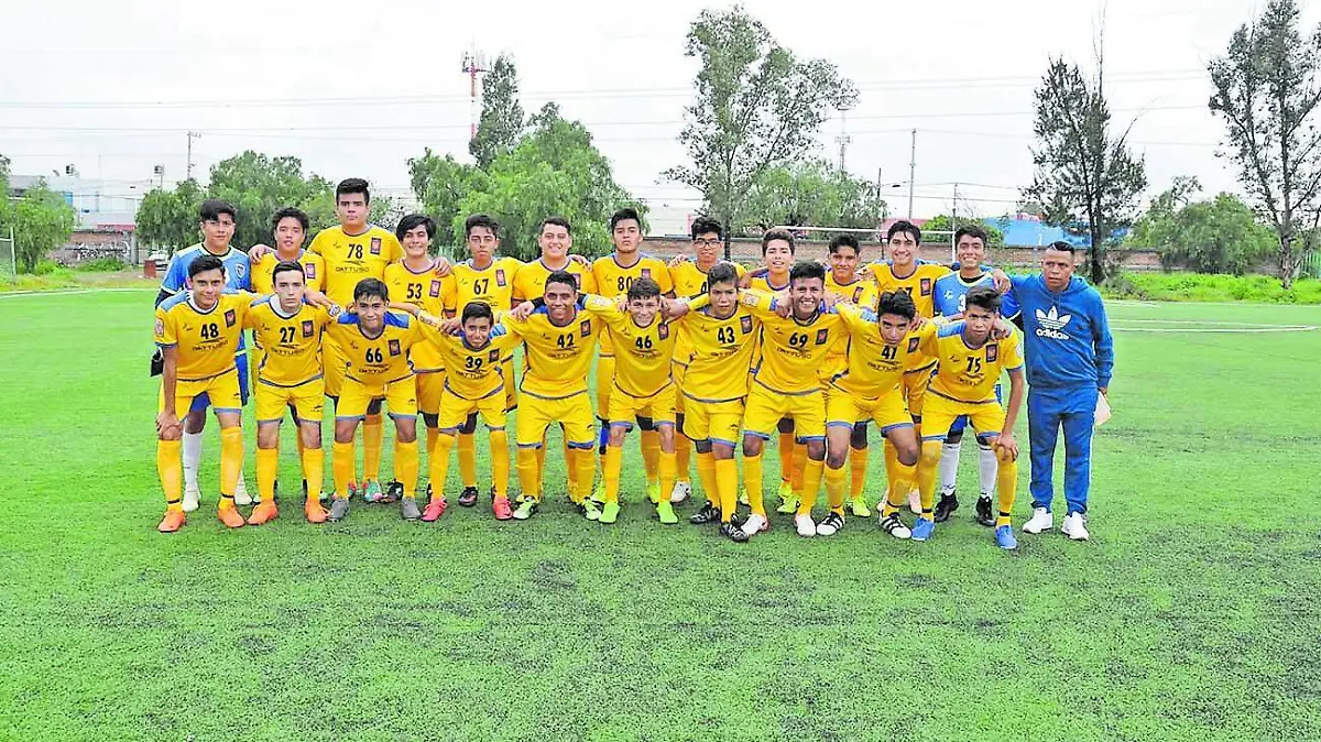 Tigres..._CMYK