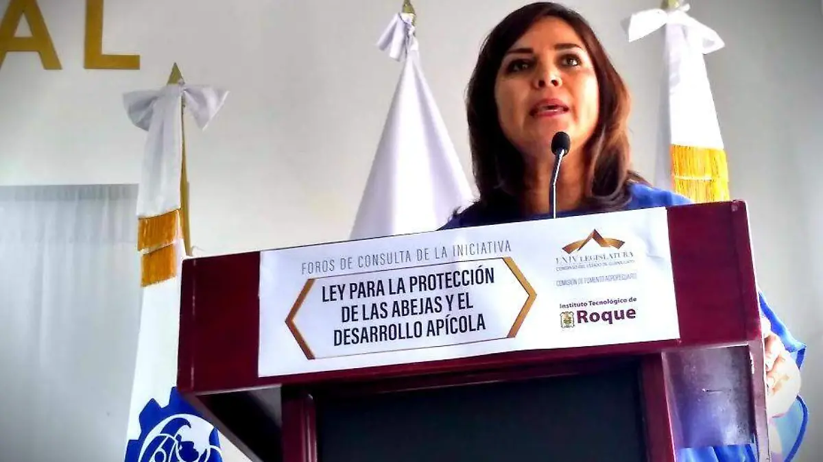 Foro Abejas - Elvira Paniagua