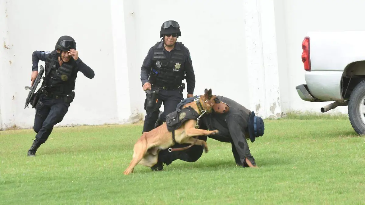 WhatsApp Image 2019-06-06 at 7.49.35 PM (1)