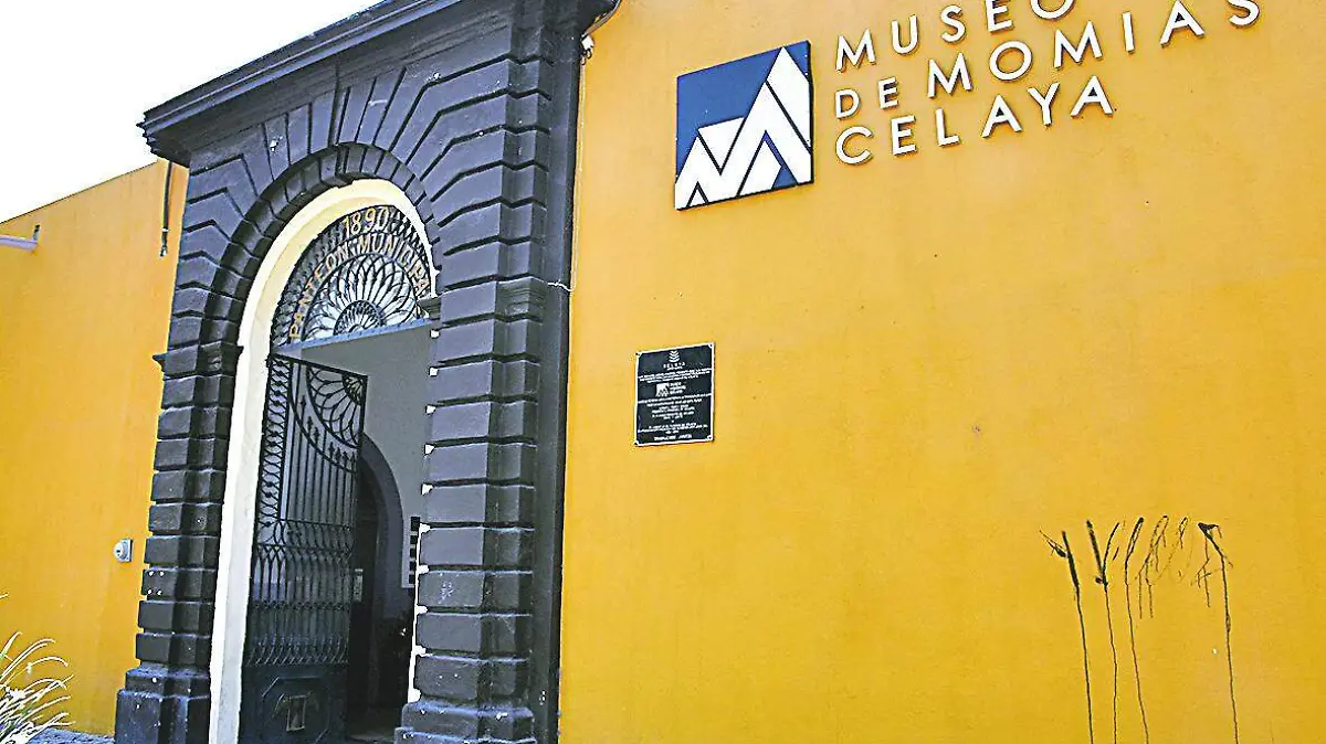   Museo de Momias (1)