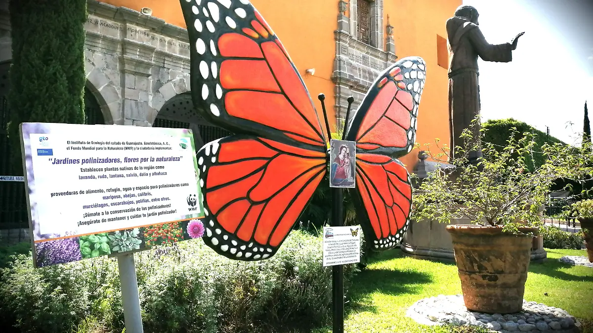 Mariposa Monarca