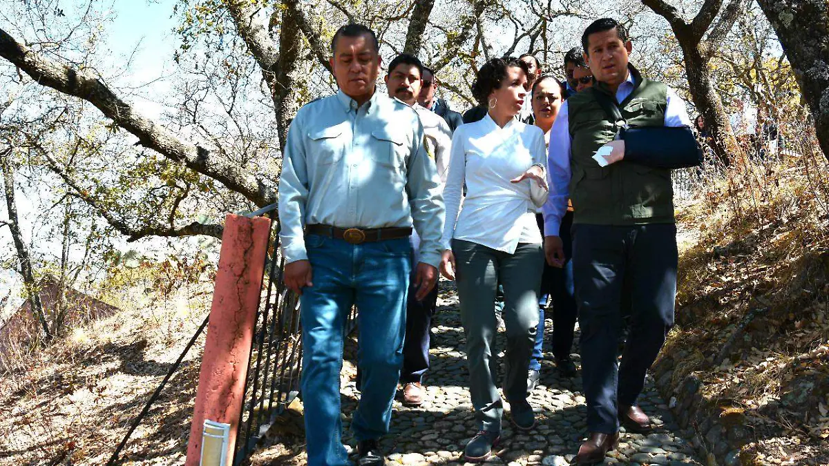 WhatsApp Image 2019-03-20 at 2