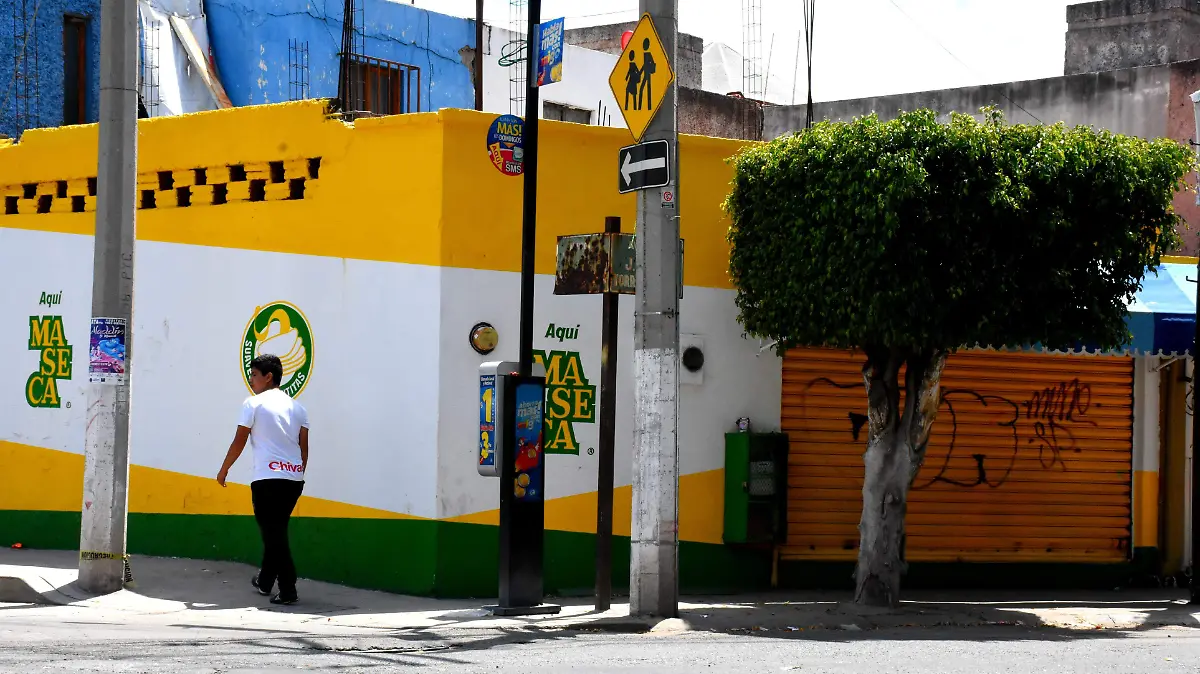 tortilleria (2)