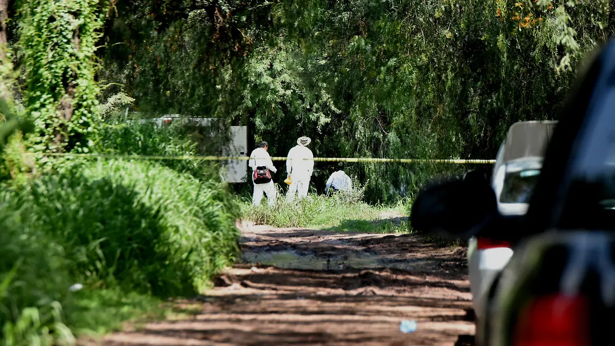 Muerto Cortazar (3) ok