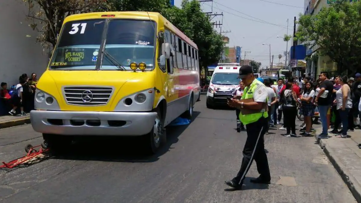 WhatsApp Image 2019-04-30 at 1.48.17 PM