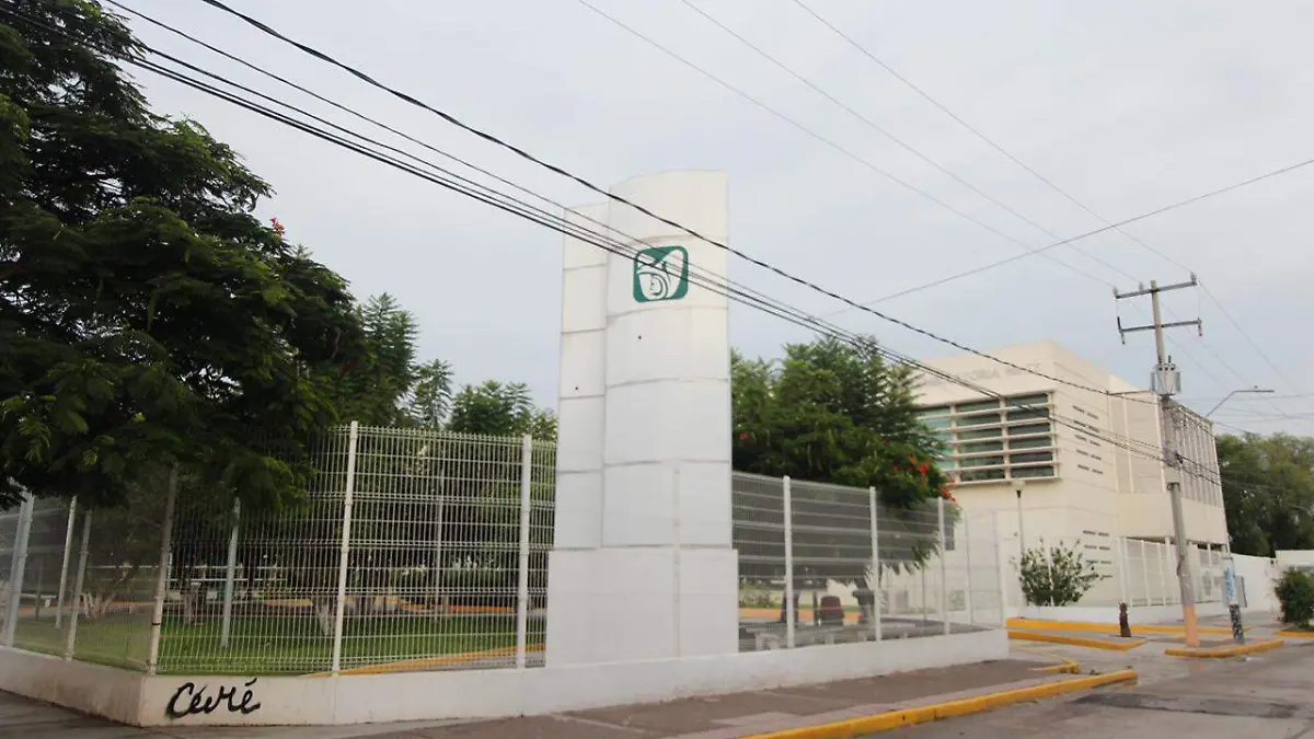 WhatsApp Image 2019-07-05 at 10.29.34 AM