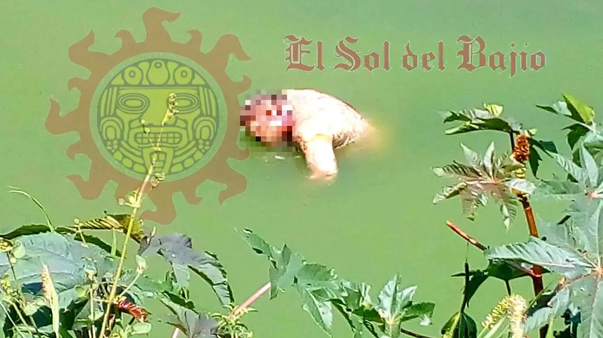Flotando