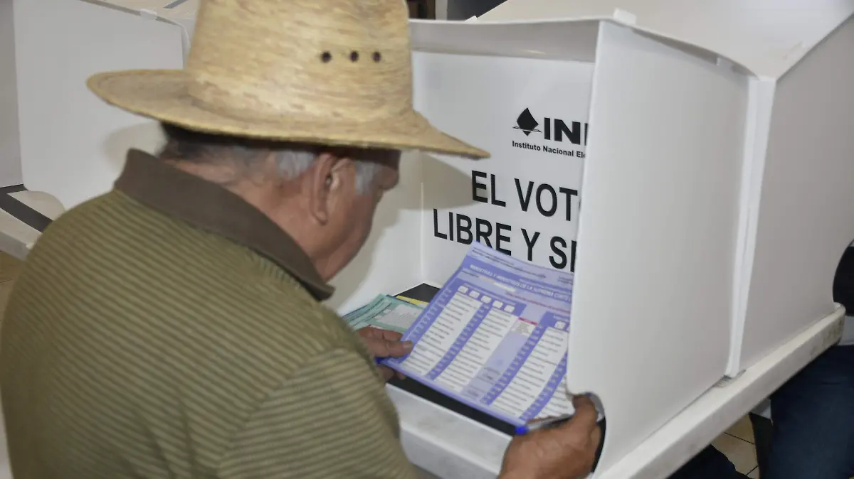 VOTACIONES SAN MIGUEL OCTOPAN (7)