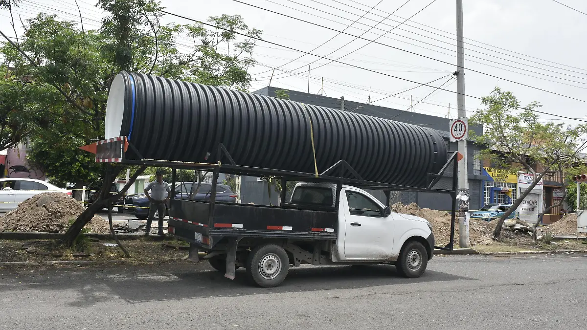 socavon en girasoles (2).