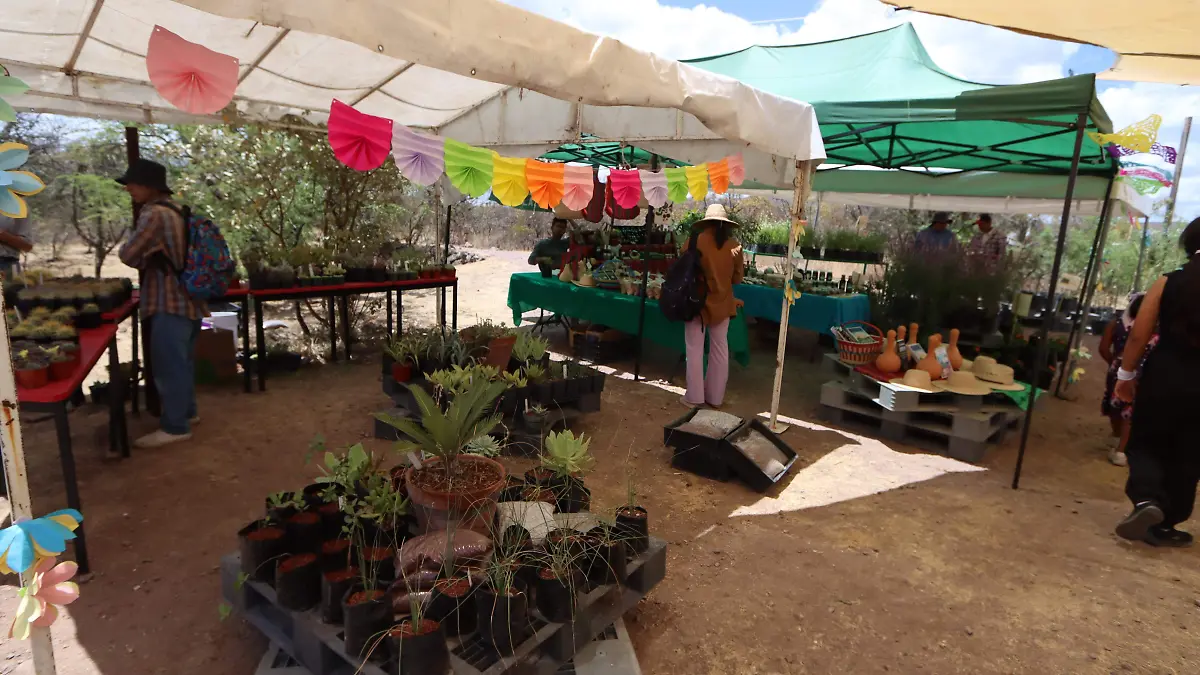charcoferia