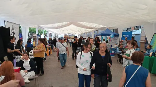 IMG20250606113731