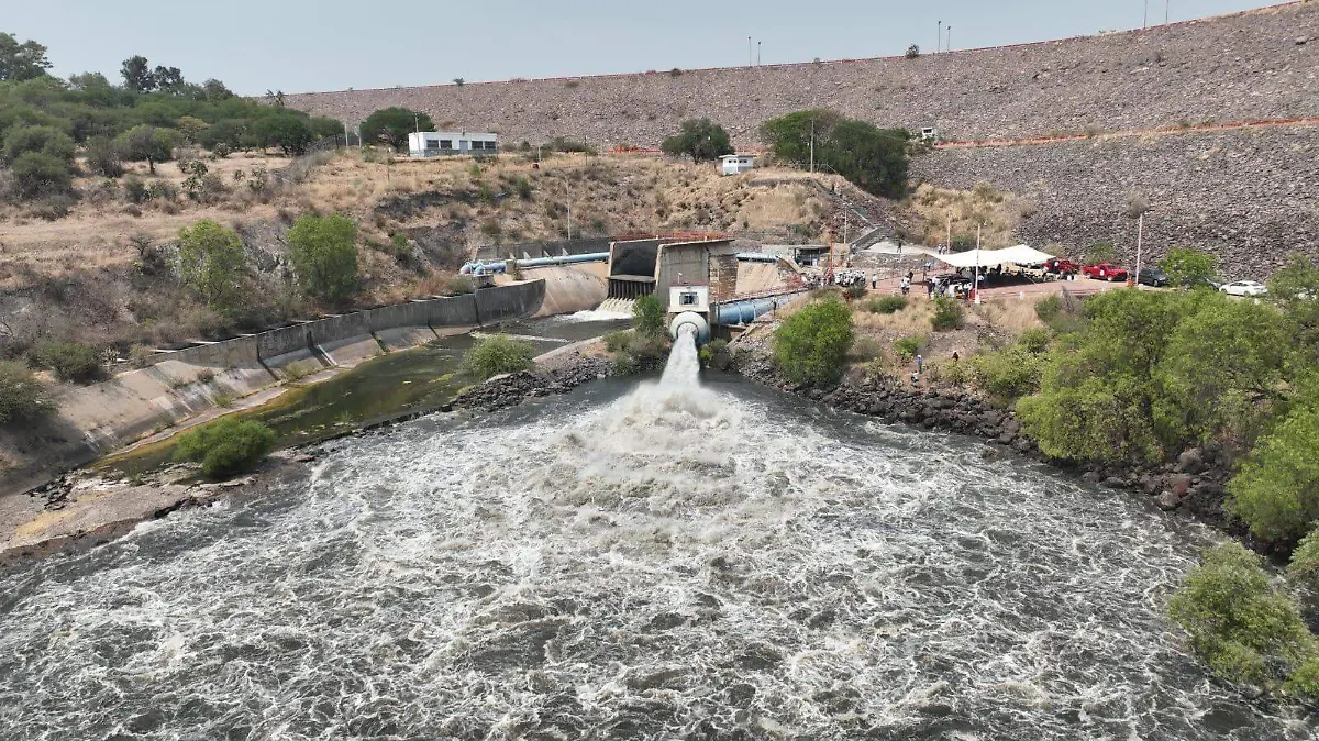 Presa