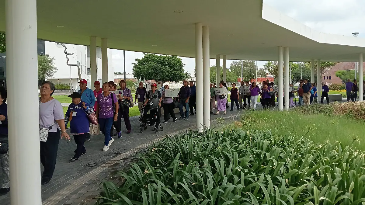 marcha adultos mayores