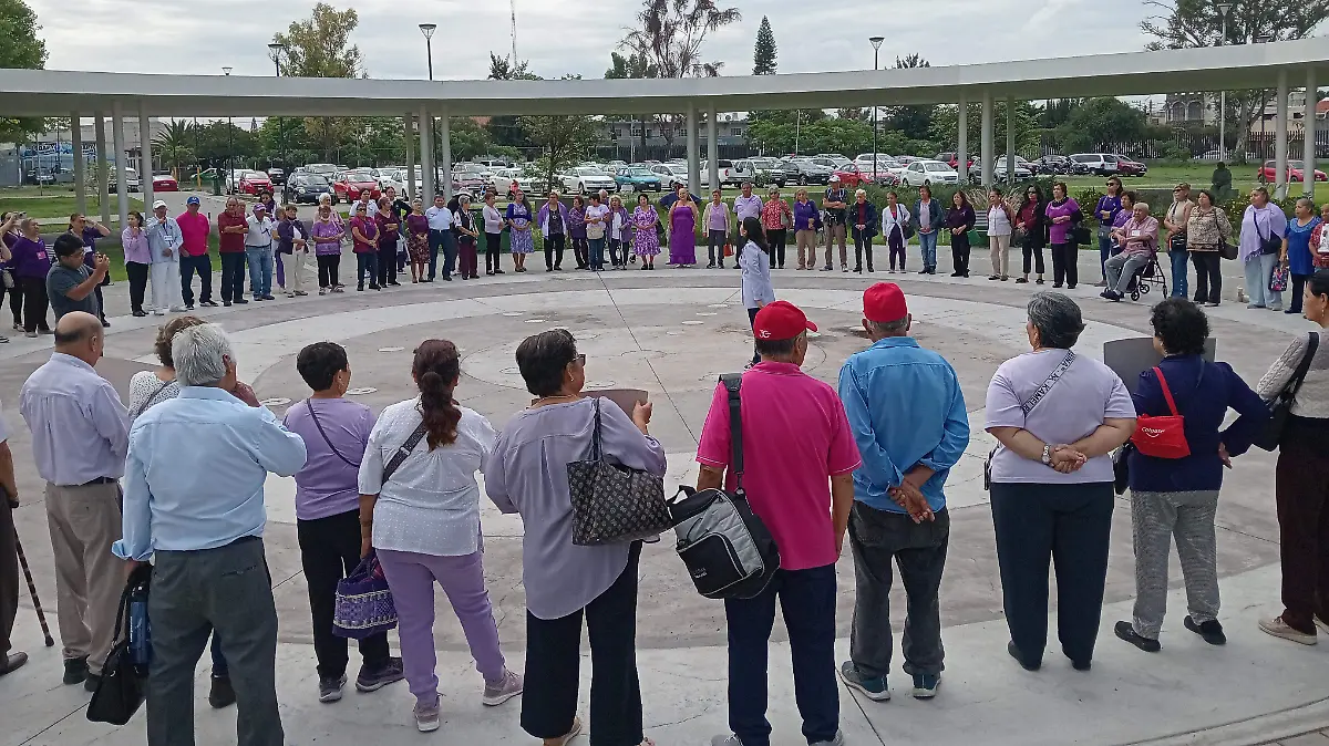 marcha adultos mayores