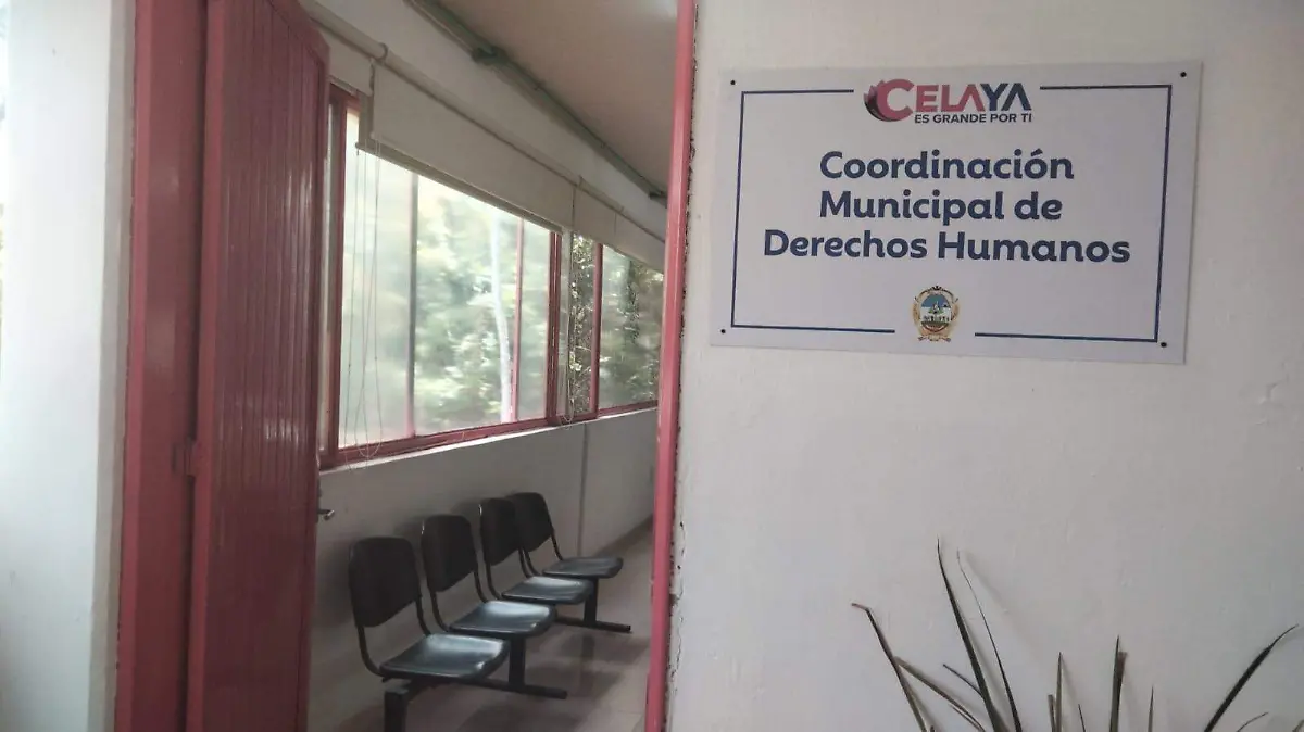 actual coordinación DH 1