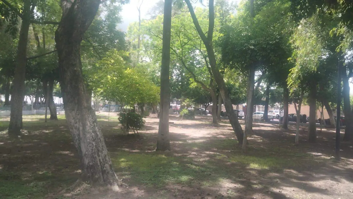 Árboles