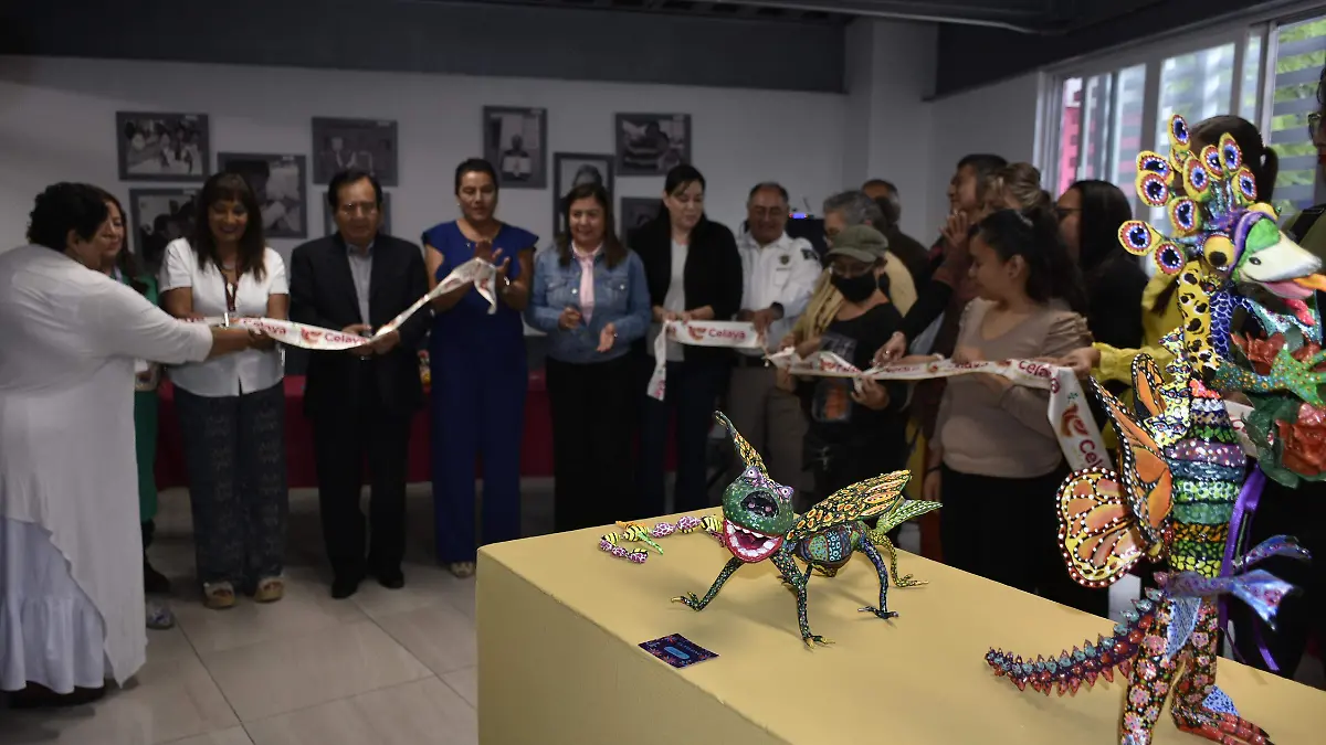 dif alebrijes (4)