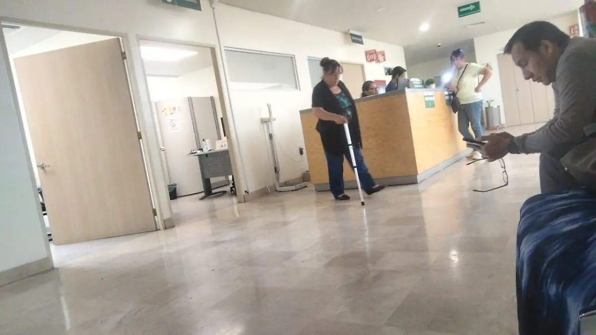 imss (1)