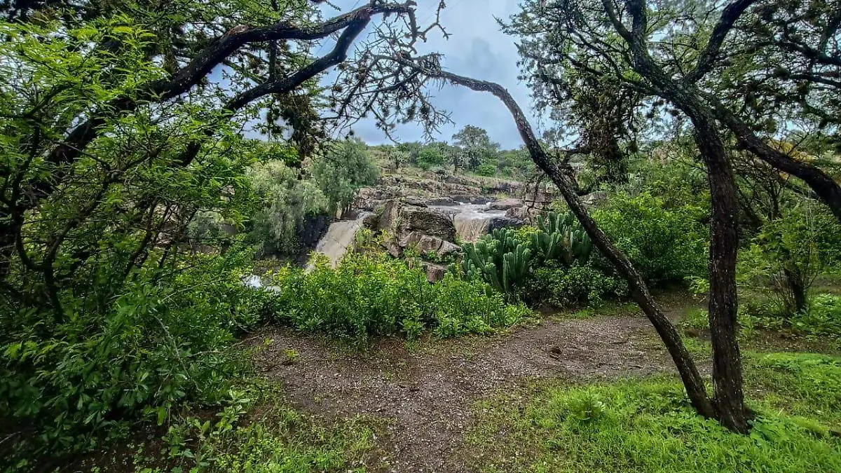 charco7