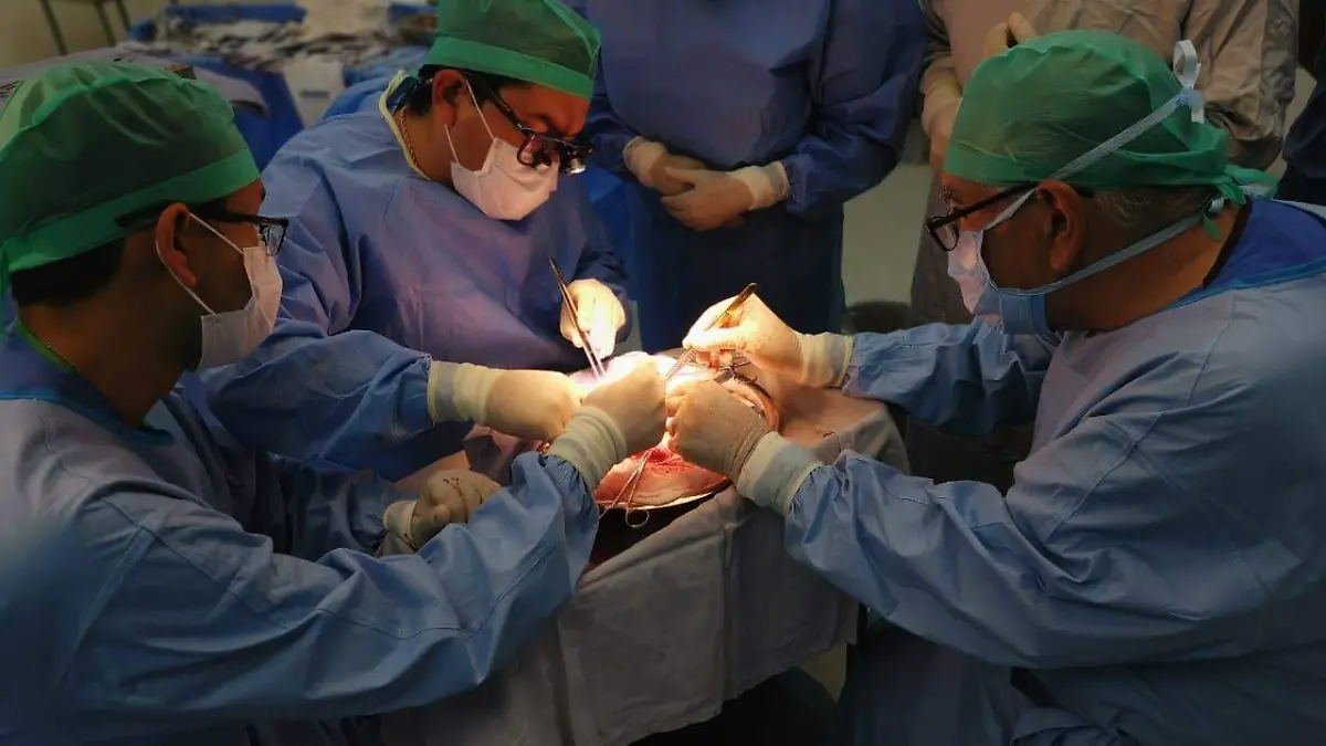 transplante 1