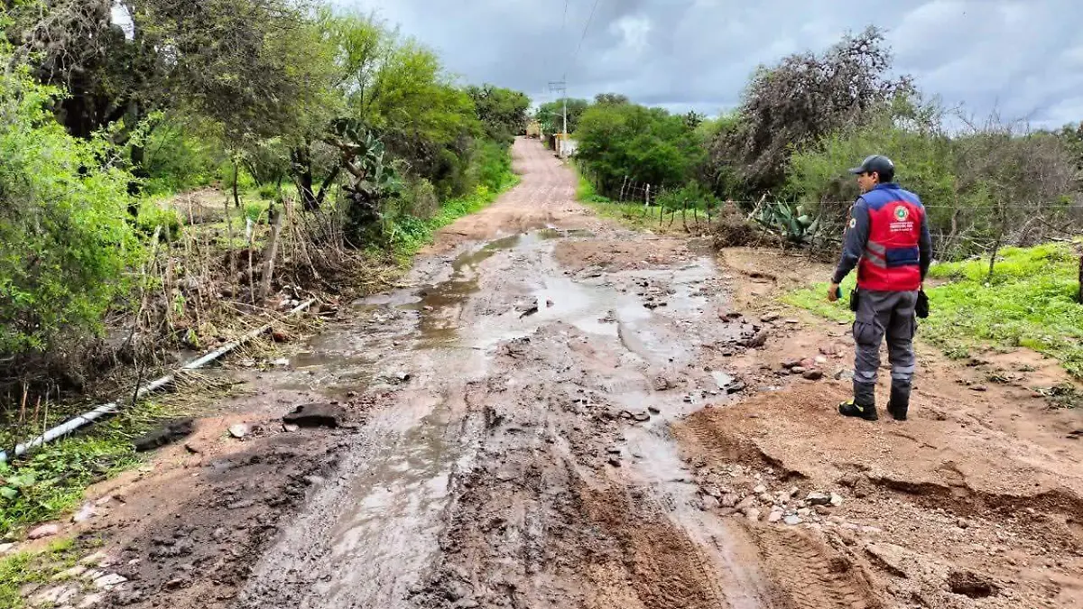 caminos