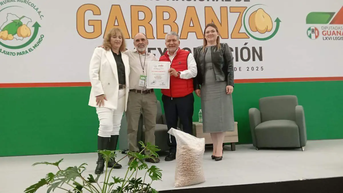 diputada 8