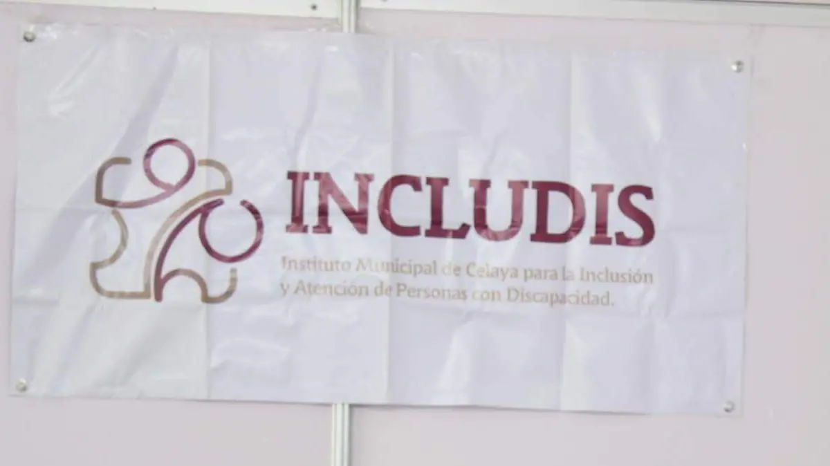logo includis