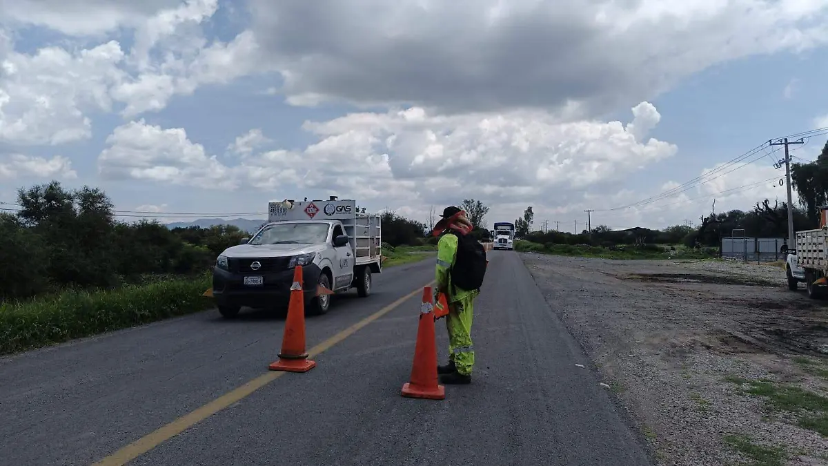 bacheo