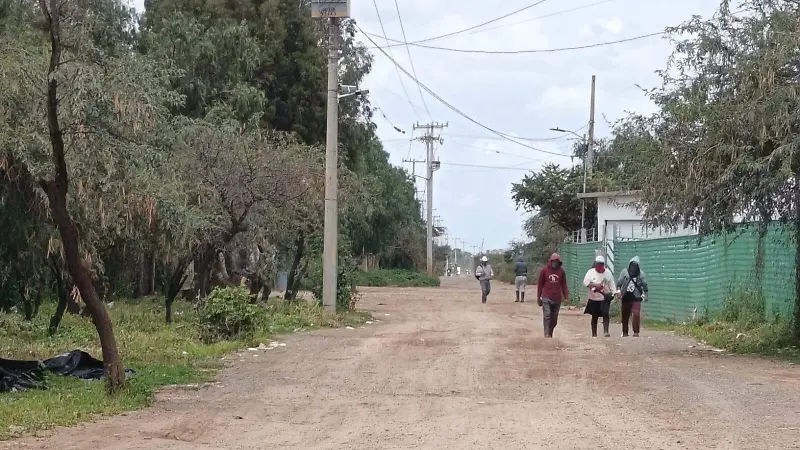 rancho 6
